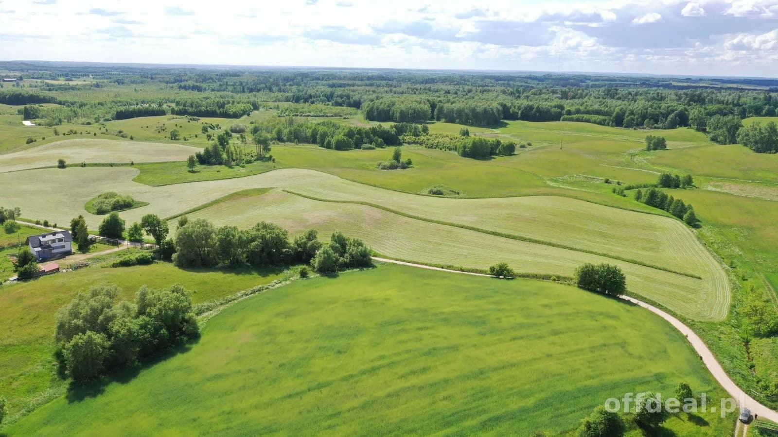 Działka 1,5 ha z MPZP pod budownictwo jednorodzinne