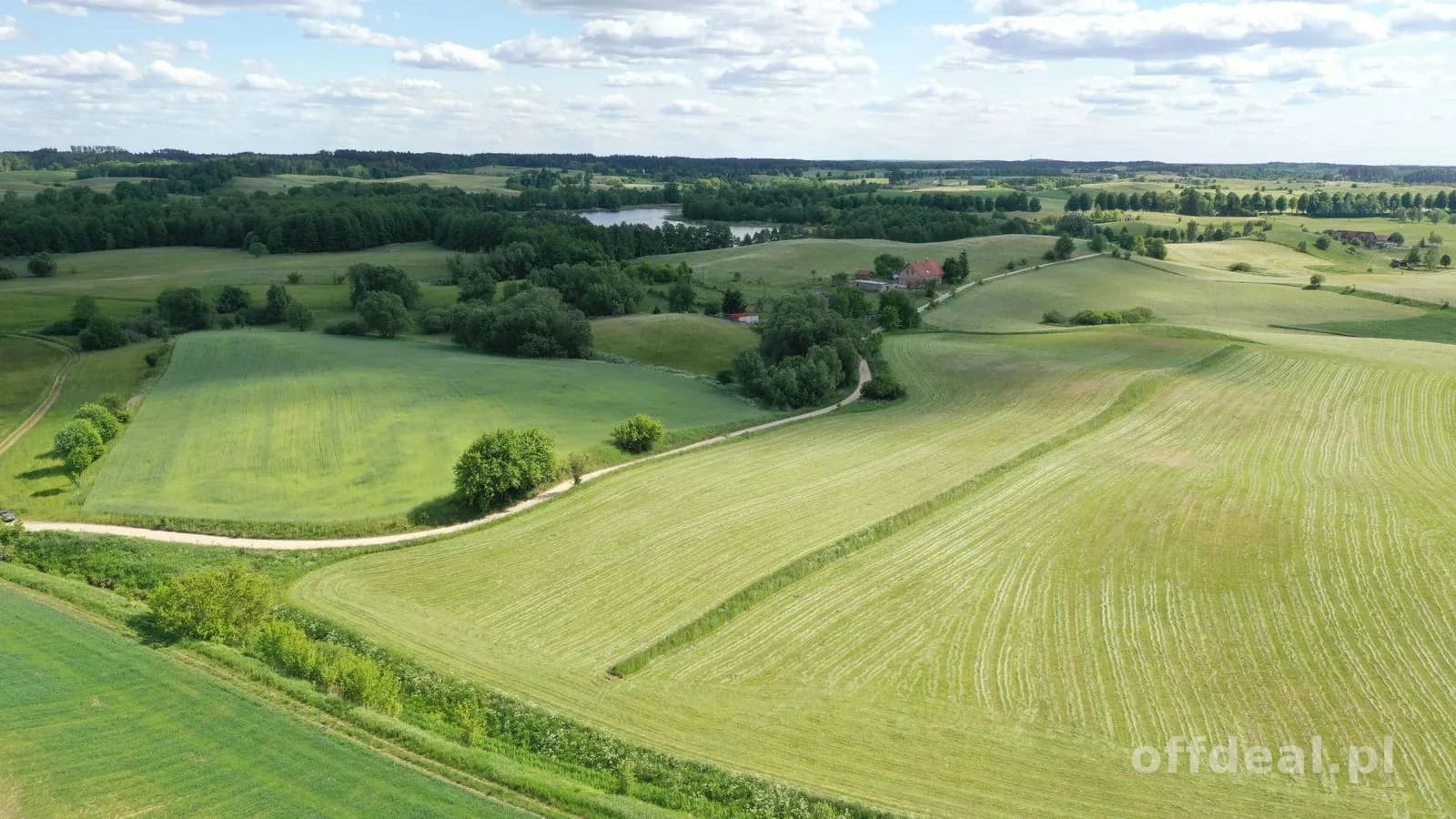 Działka 1,5 ha z MPZP pod budownictwo jednorodzinne