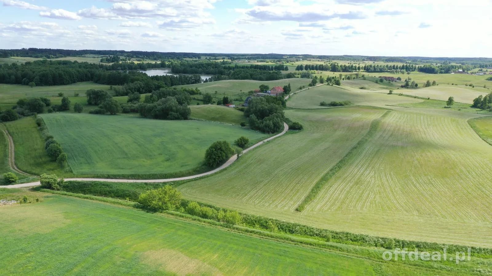 Działka 1,5 ha z MPZP pod budownictwo jednorodzinne