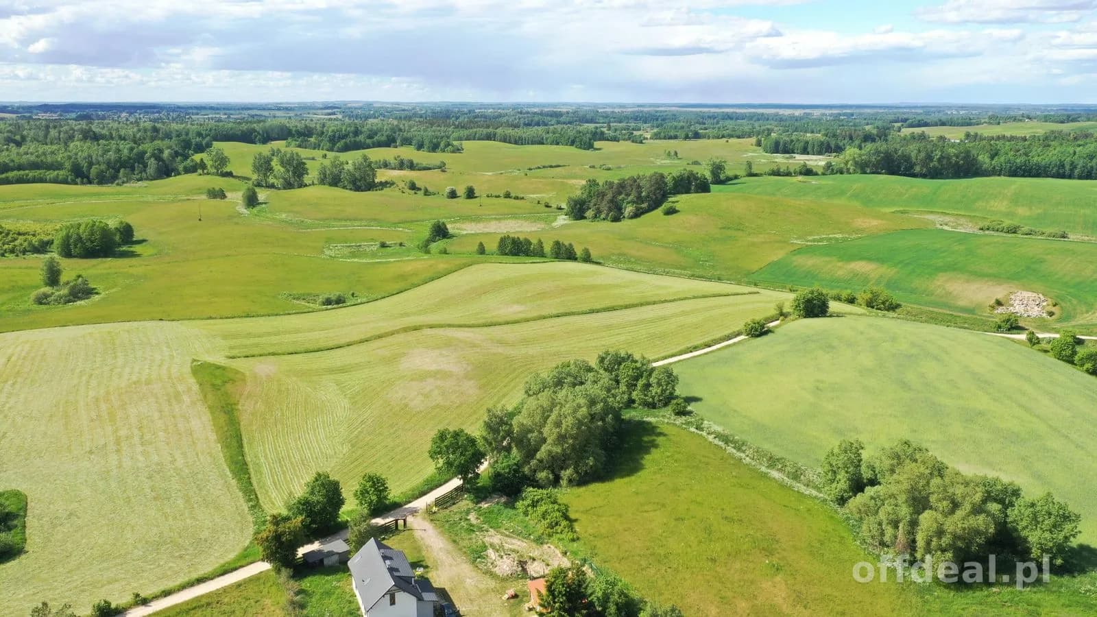 Działka 1,5 ha z MPZP pod budownictwo jednorodzinne