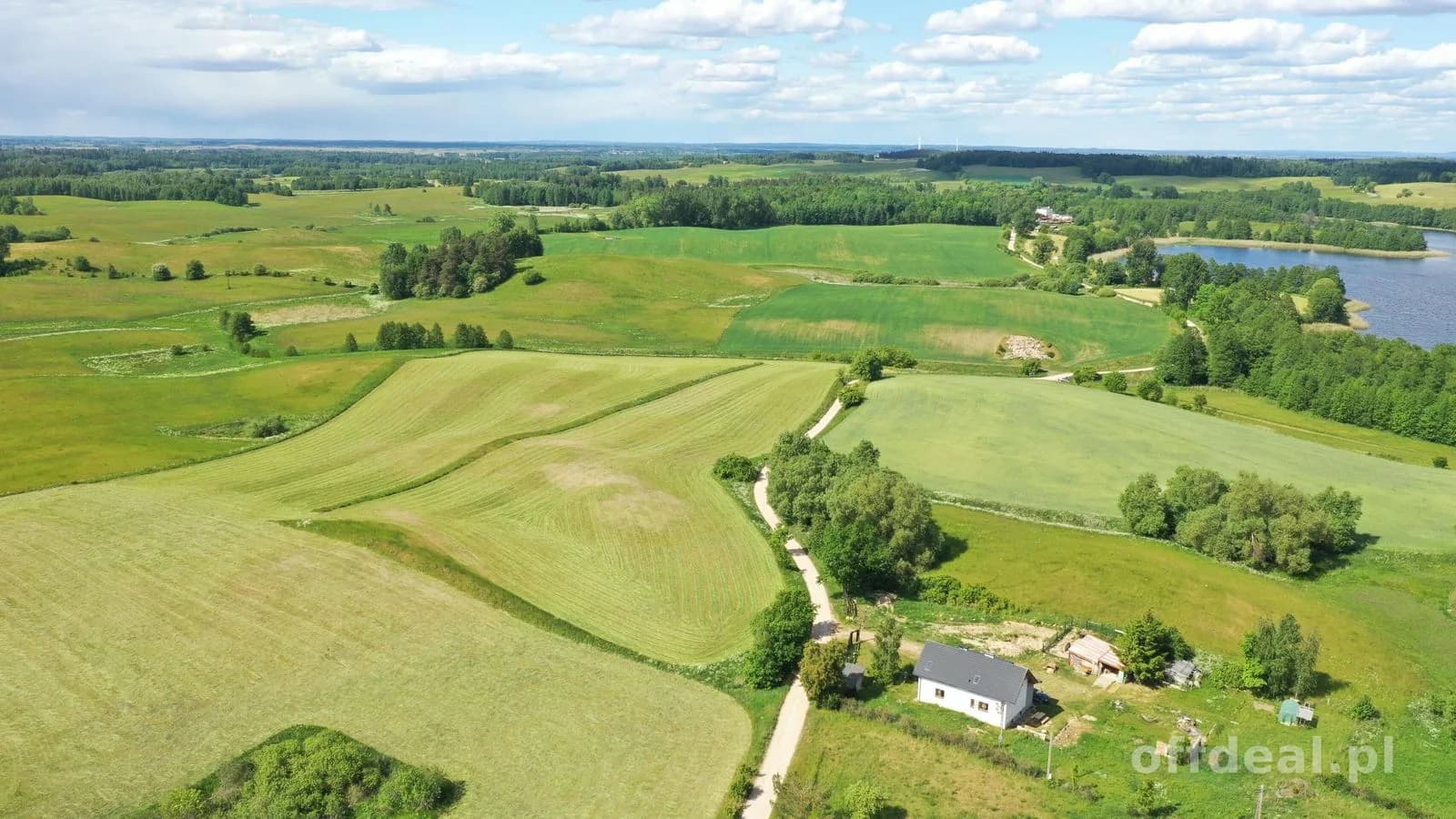 Działka 1,5 ha z MPZP pod budownictwo jednorodzinne