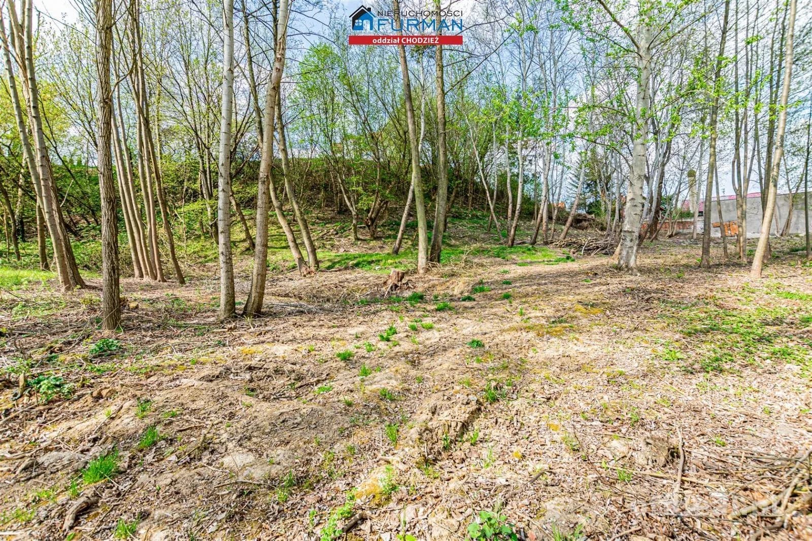 terrain à vendre à Chodzież | 6 584 m²