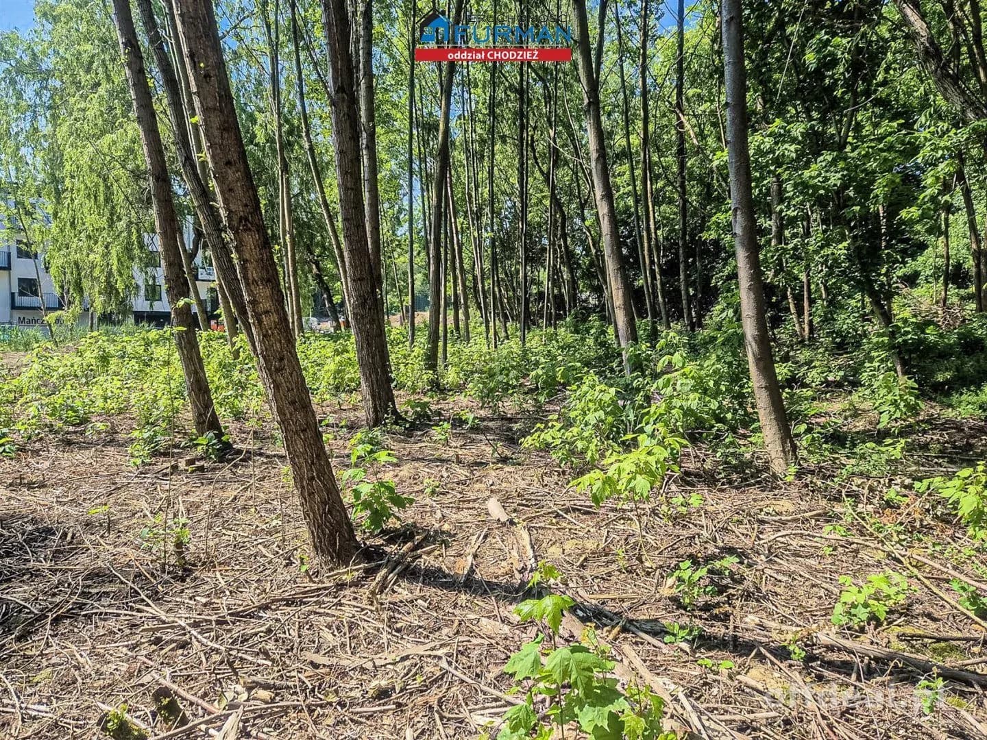 terrain à vendre à Chodzież | 6 584 m²