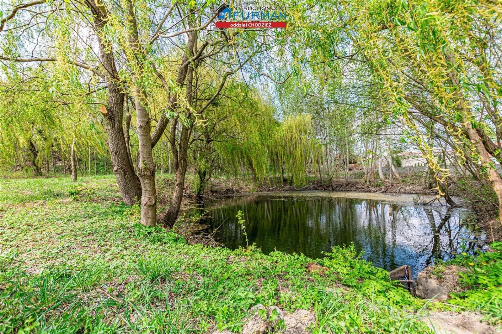 terrain à vendre à Chodzież | 6 584 m²