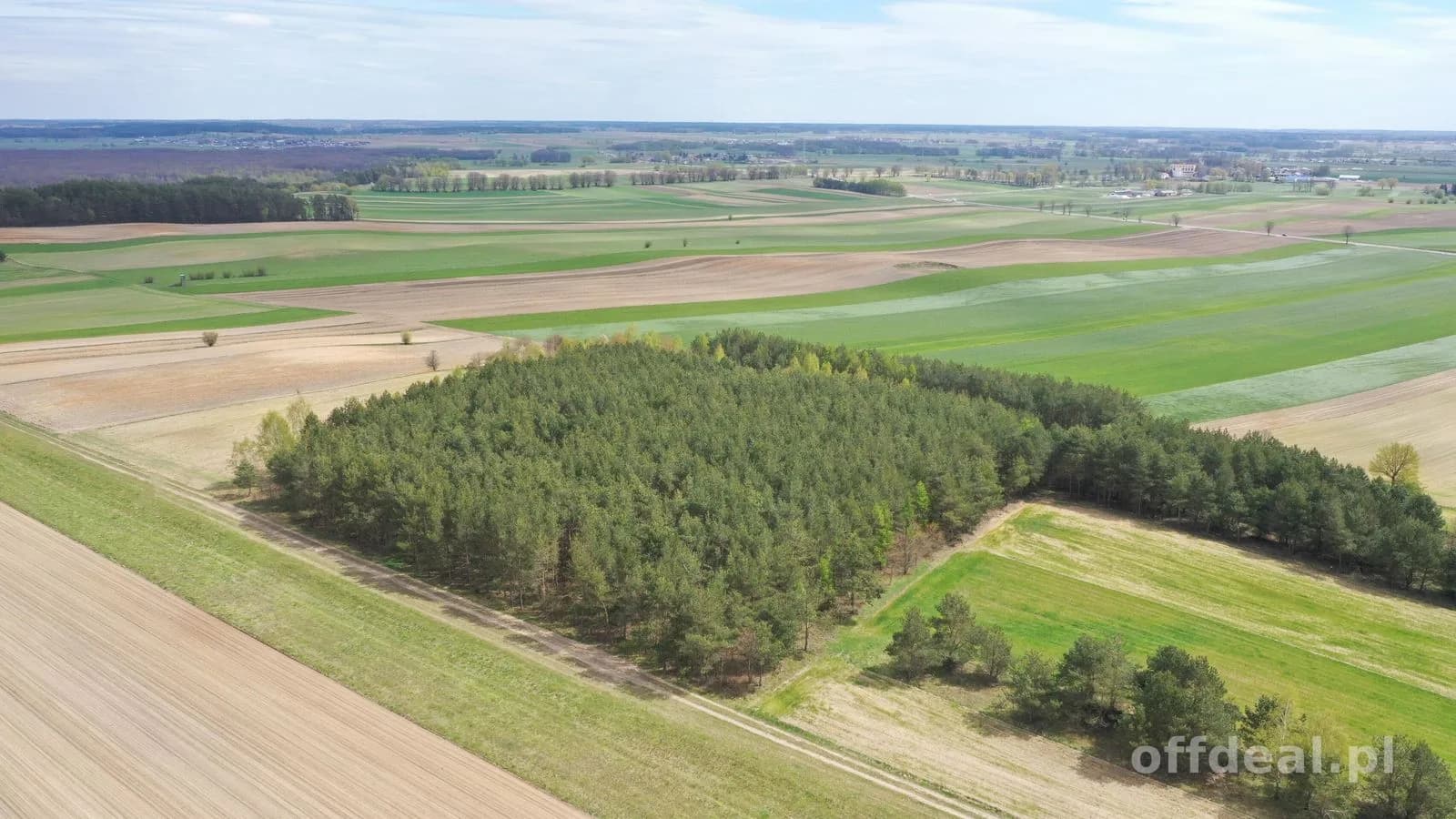 Działka leśna 2,2260 ha – Puchały, gm. Łomża - SUPER CENA