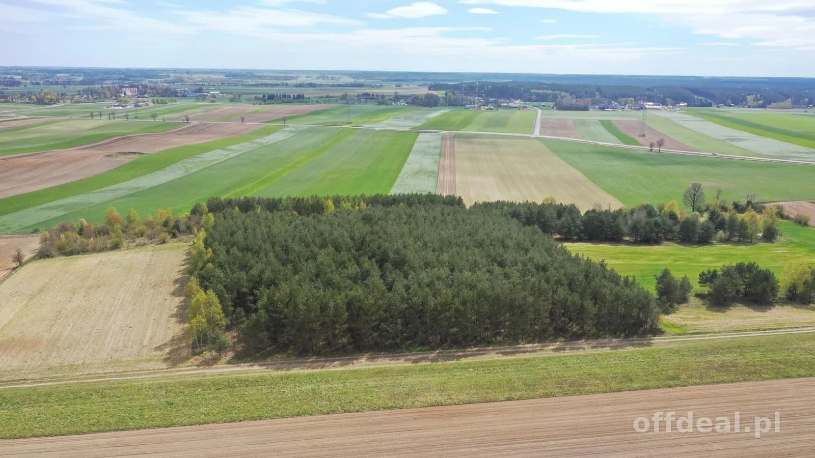 Działka leśna 2,2260 ha – Puchały, gm. Łomża - SUPER CENA