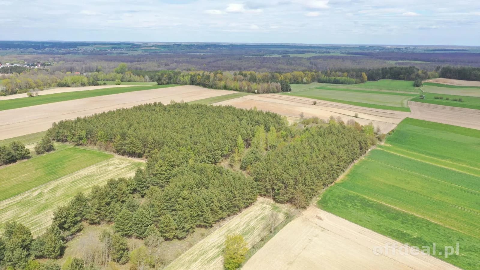 Działka leśna 2,2260 ha – Puchały, gm. Łomża - SUPER CENA