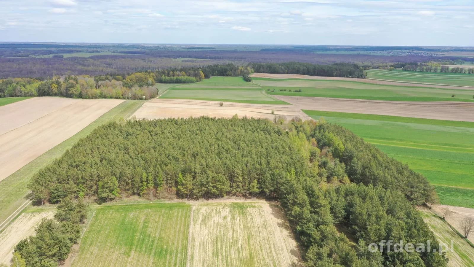 Działka leśna 2,2260 ha – Puchały, gm. Łomża - SUPER CENA