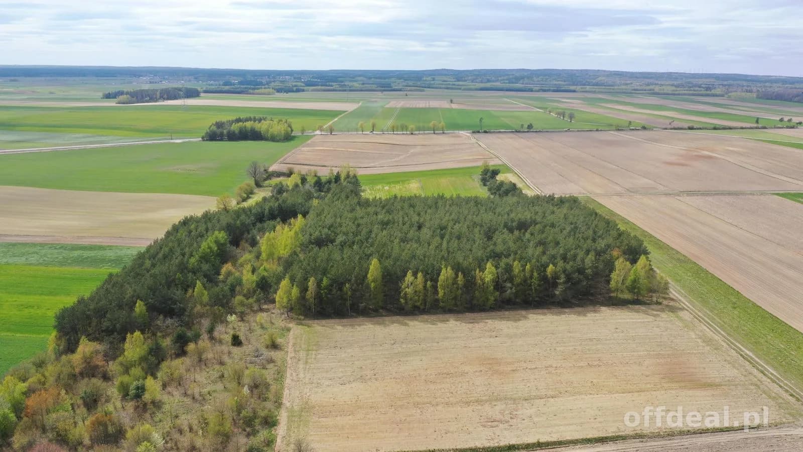 Działka leśna 2,2260 ha – Puchały, gm. Łomża - SUPER CENA