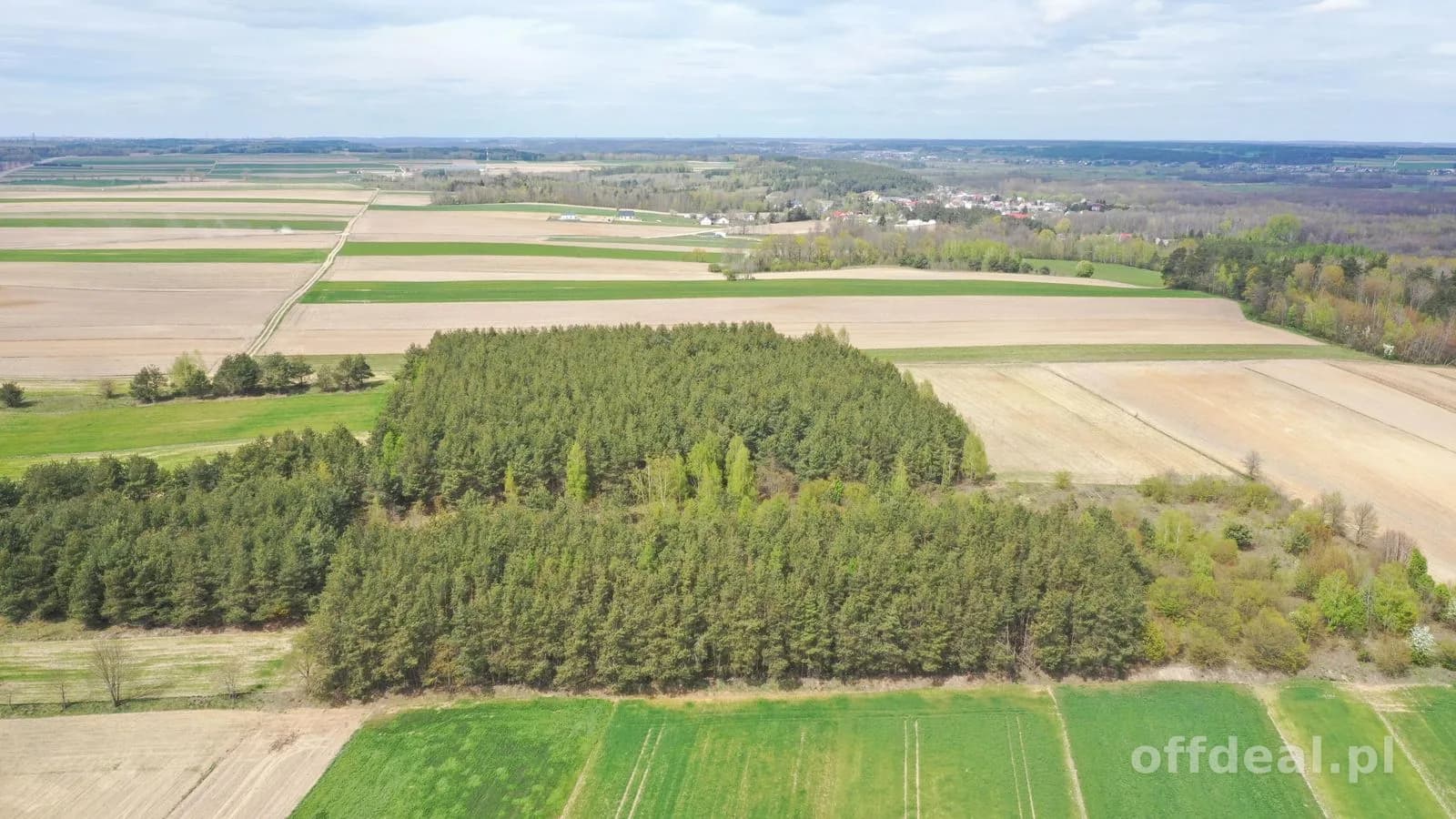 Działka leśna 2,2260 ha – Puchały, gm. Łomża - SUPER CENA