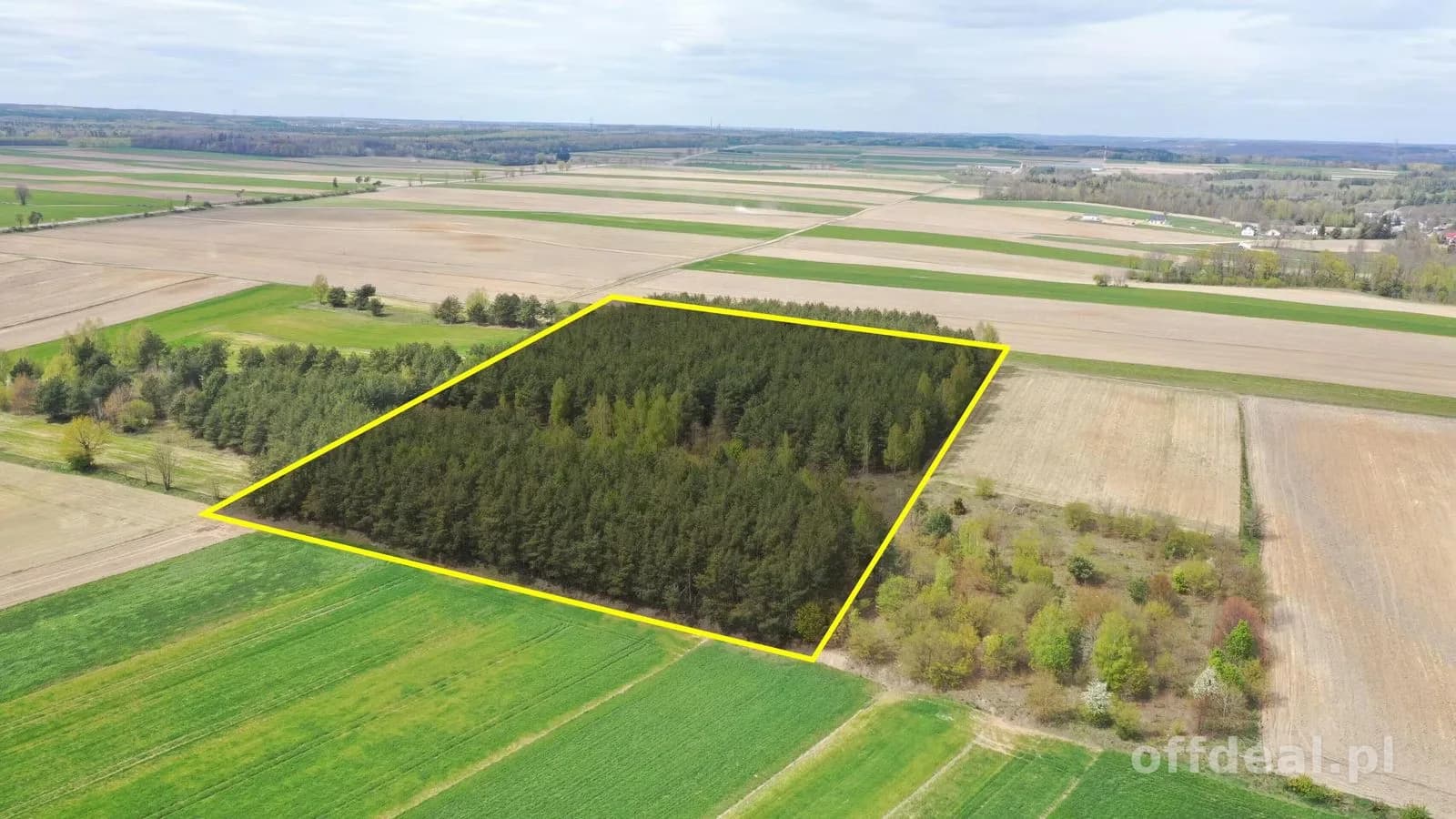 Działka leśna 2,2260 ha – Puchały, gm. Łomża - SUPER CENA