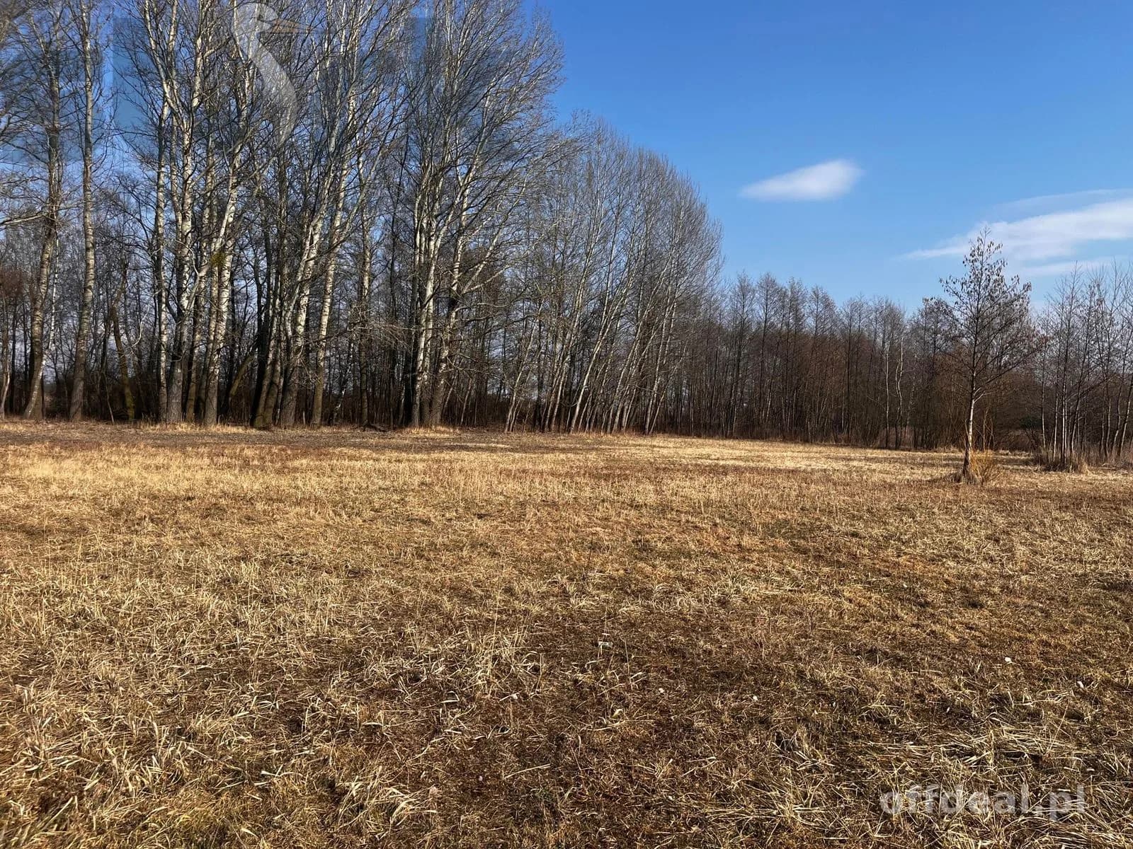 plot for sale in Błonie | 1,500 m²