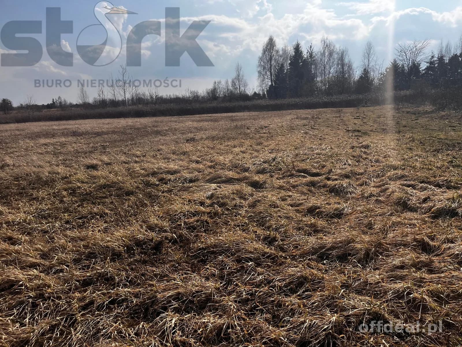 plot for sale in Błonie | 1,500 m²