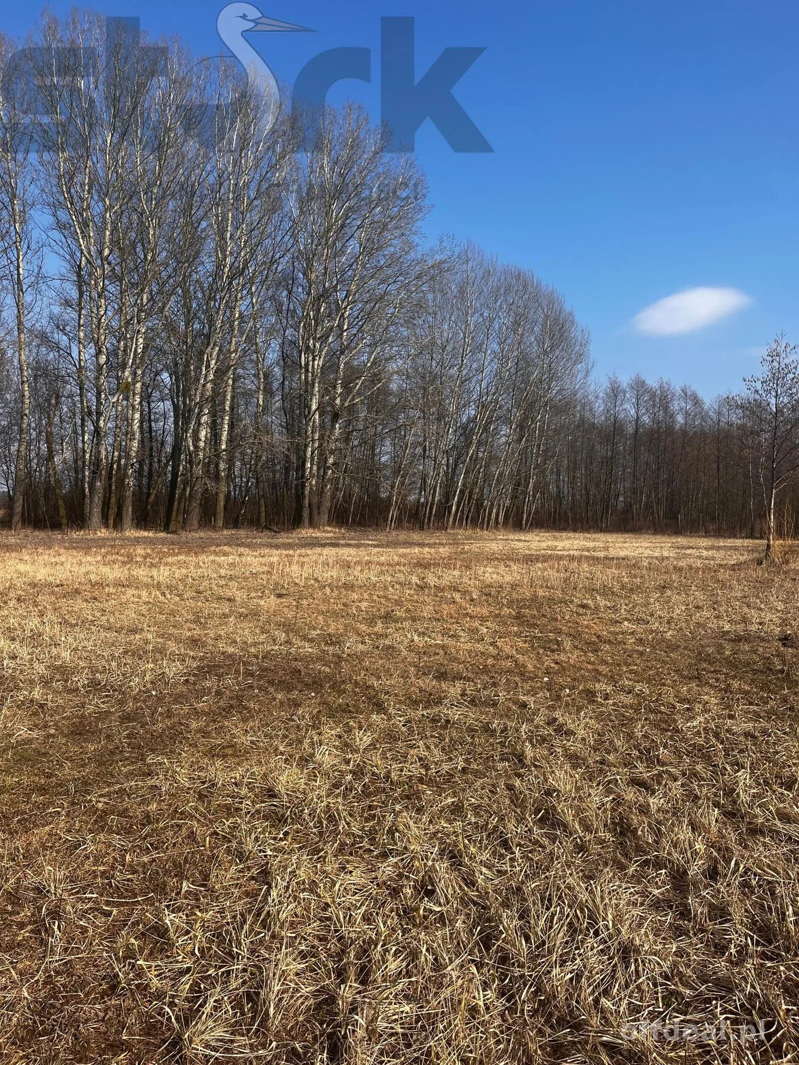 plot for sale in Błonie | 1,500 m²