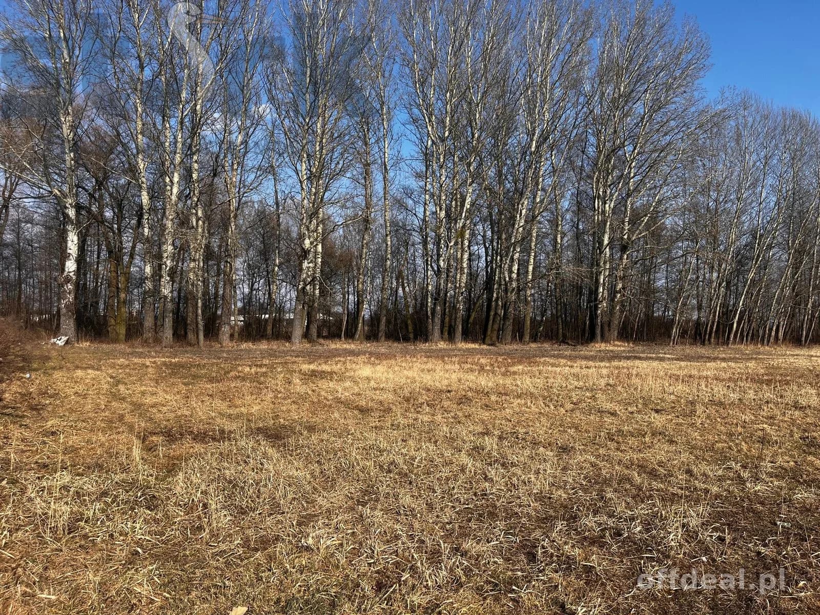 plot for sale in Błonie | 1,500 m²