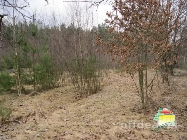 Działka na sprzedaż, Wężyk