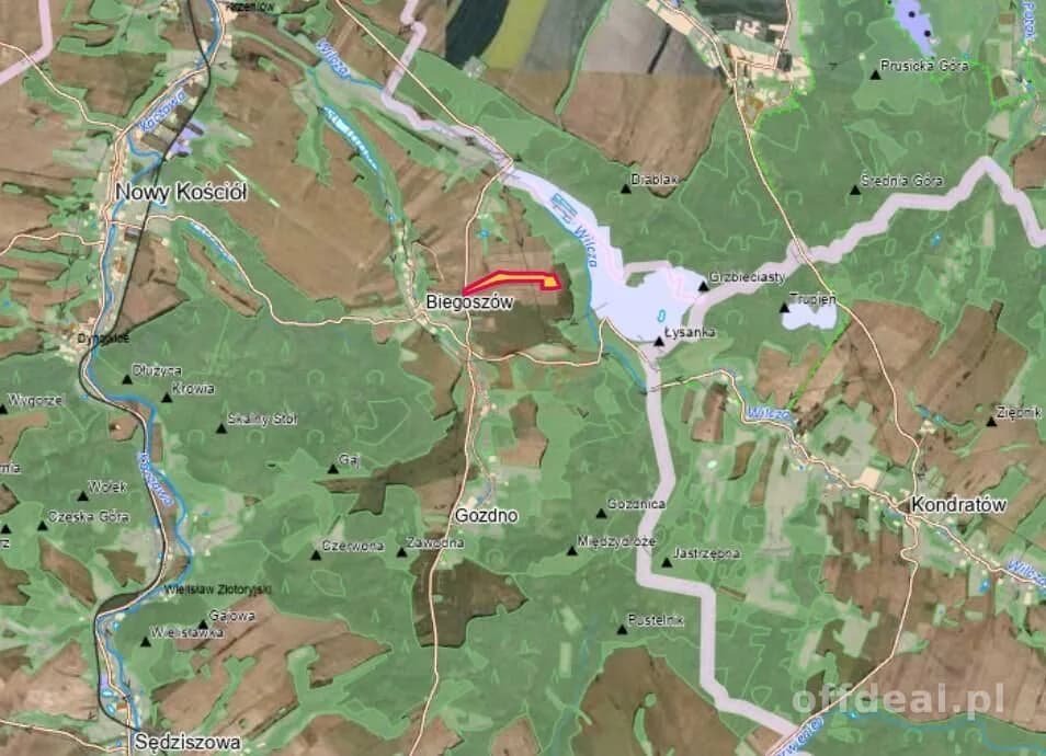 plot for sale in Biegoszów | 62,000 m²