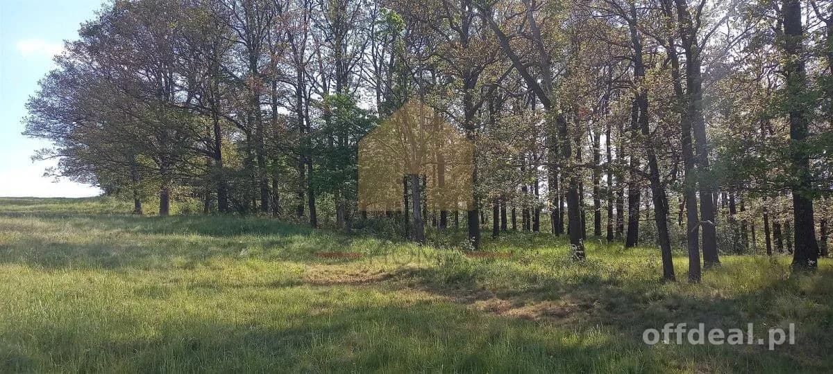 plot for sale in Myślinów | 3,000 m²