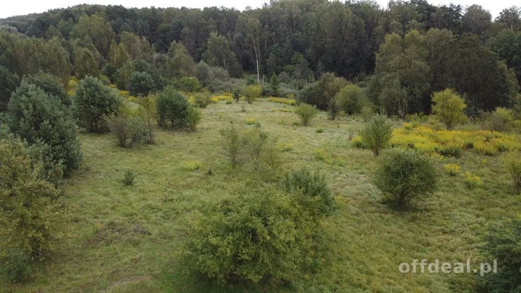 plot for sale in Kieźliny