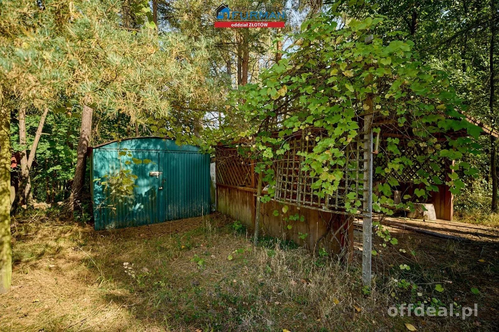 Działka pod agroturystykę przy rzece, Zabrodzie