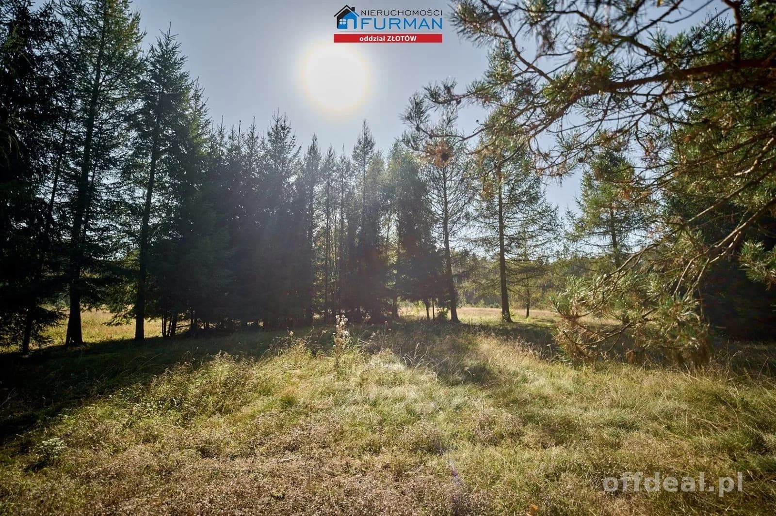 Działka pod agroturystykę przy rzece, Zabrodzie