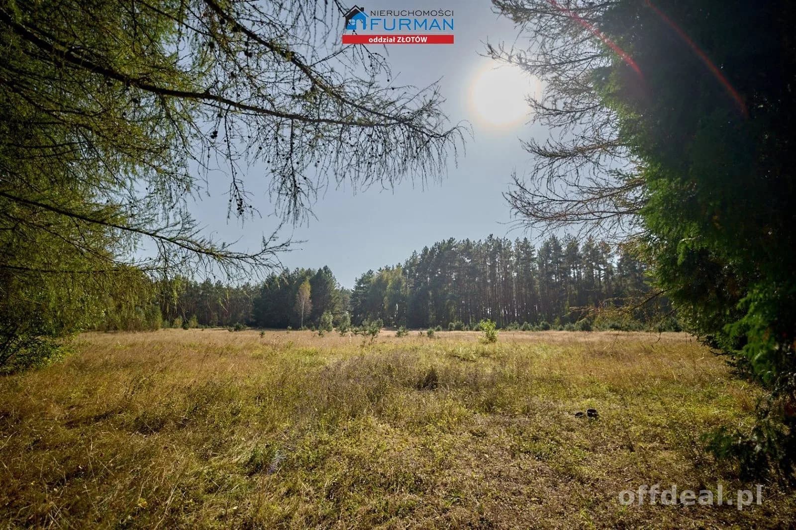 Działka pod agroturystykę przy rzece, Zabrodzie
