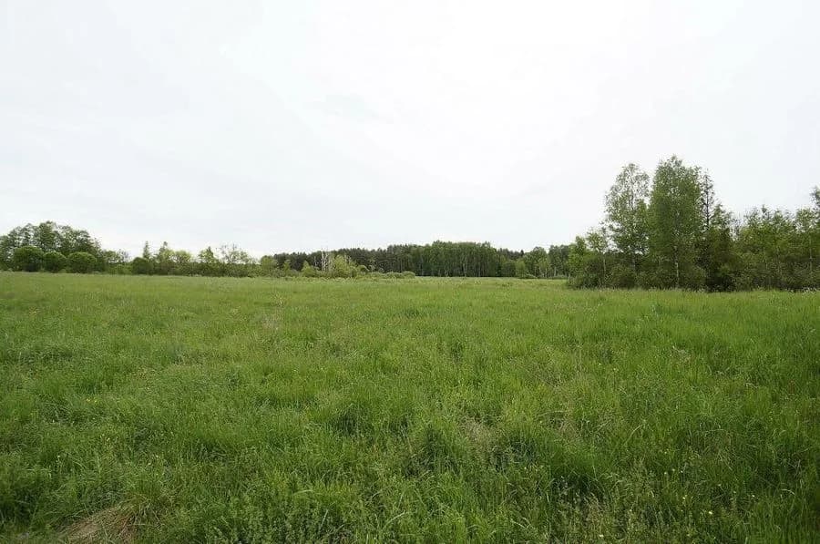 plot for sale in Ełk, Regiel | 16,400 m²