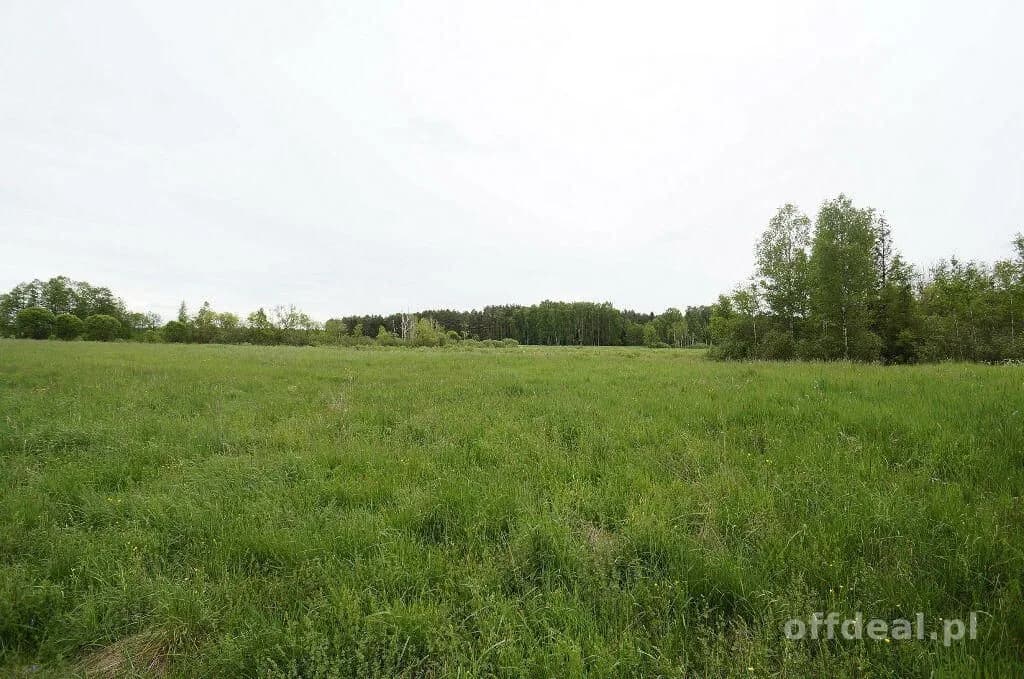 ділянка на продаж у Ełk, Regiel | 16 400 m²