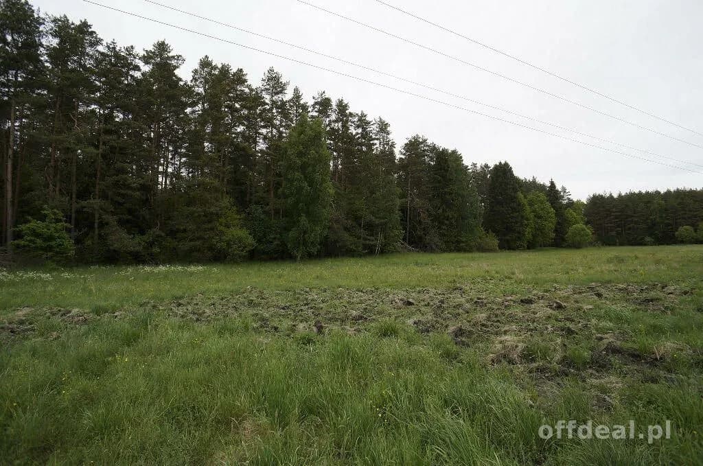 ділянка на продаж у Ełk, Regiel | 16 400 m²