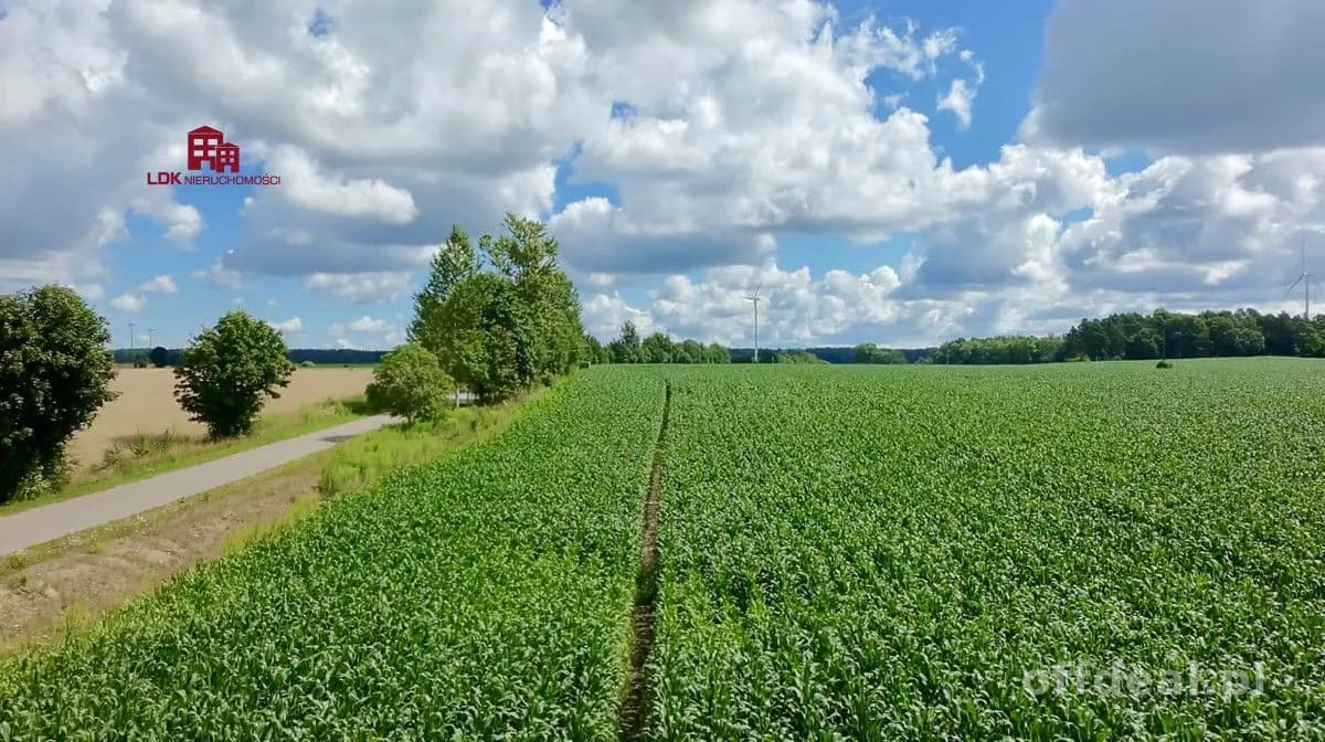 Brzeźno Lęborskie – działka 1150 m²