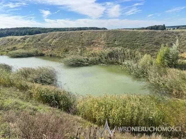 Nieczynna kopalnia piasku, okolice Milicza