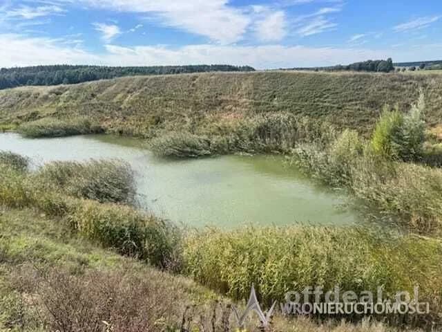Nieczynna kopalnia piasku, okolice Milicza