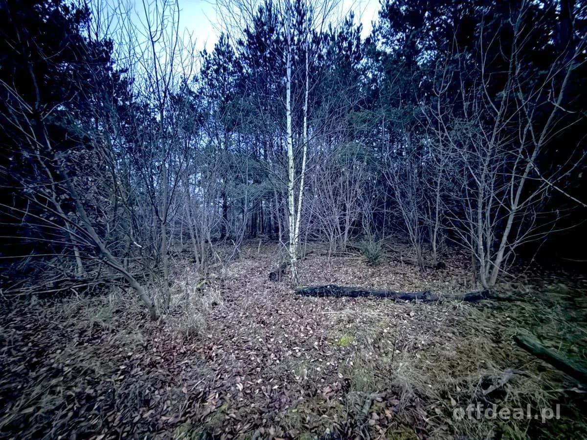 Photo 6: Terrain, 9802 m², Borkowo