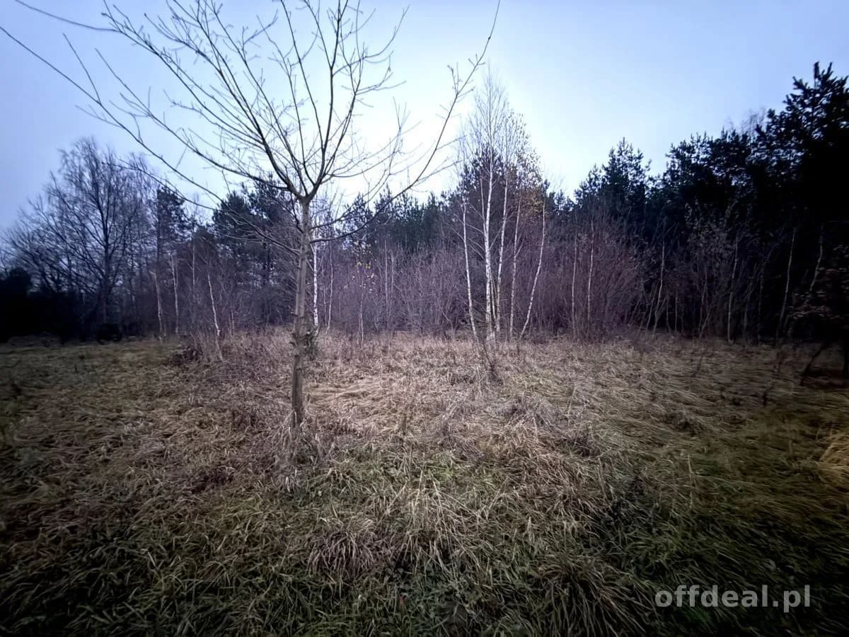 Photo 7: Terrain, 9802 m², Borkowo