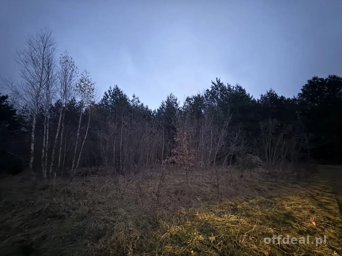Photo 5: Terrain, 9802 m², Borkowo