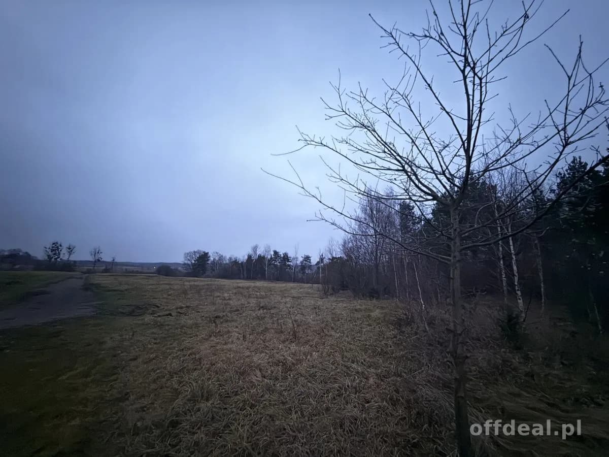 Photo 3: Terrain, 9802 m², Borkowo