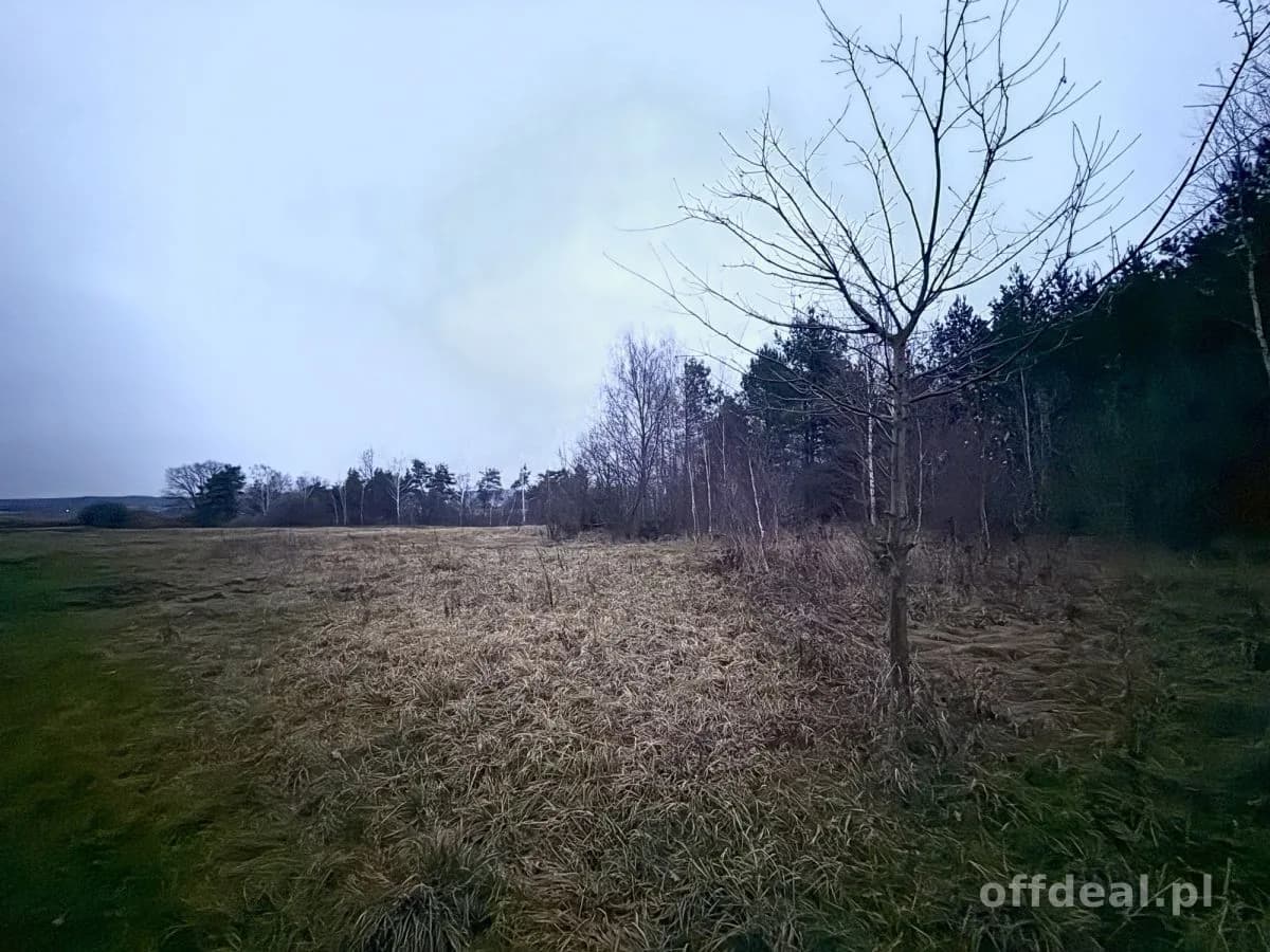 Photo 1: Terrain, 9802 m², Borkowo