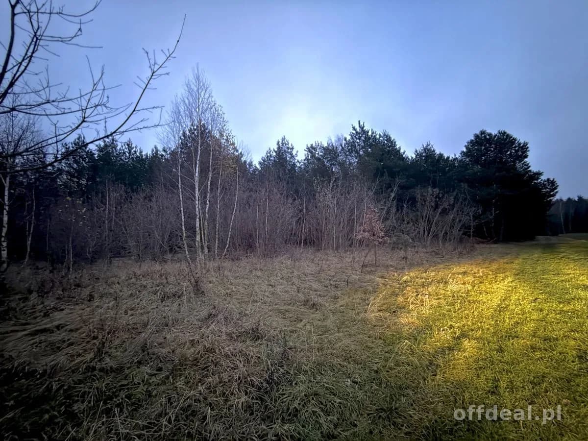Photo 4: Terrain, 9802 m², Borkowo