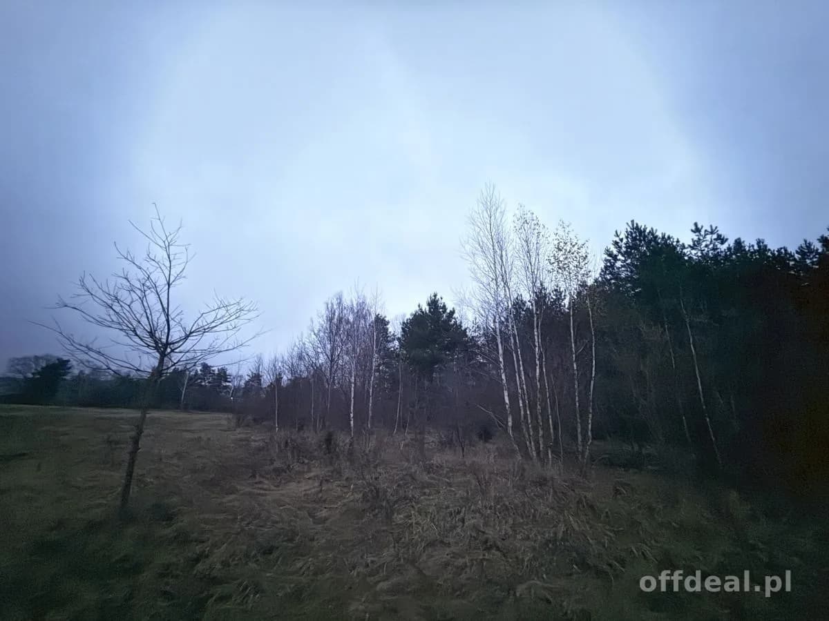 Photo 2: Terrain, 9802 m², Borkowo