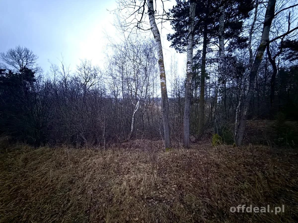Photo 9: Terrain, 9802 m², Borkowo