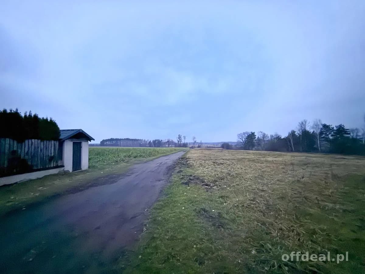 Photo 11: Terrain, 9802 m², Borkowo