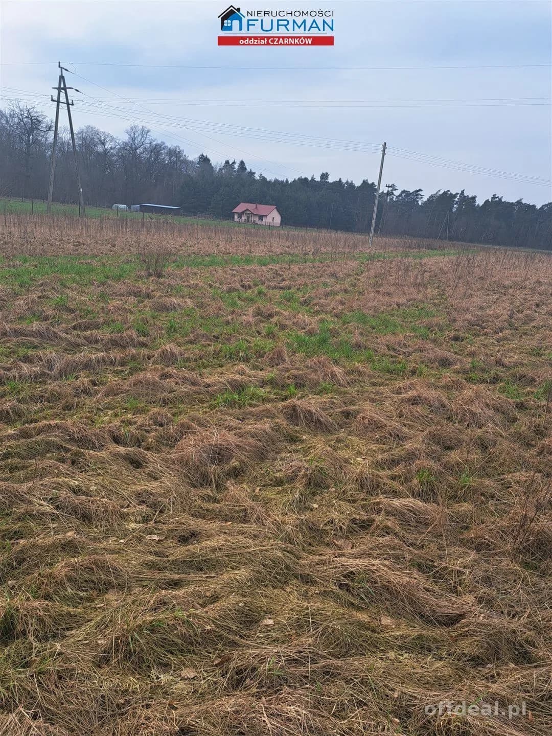 działka na sprzedaż w Kruczu gmina Lubasz