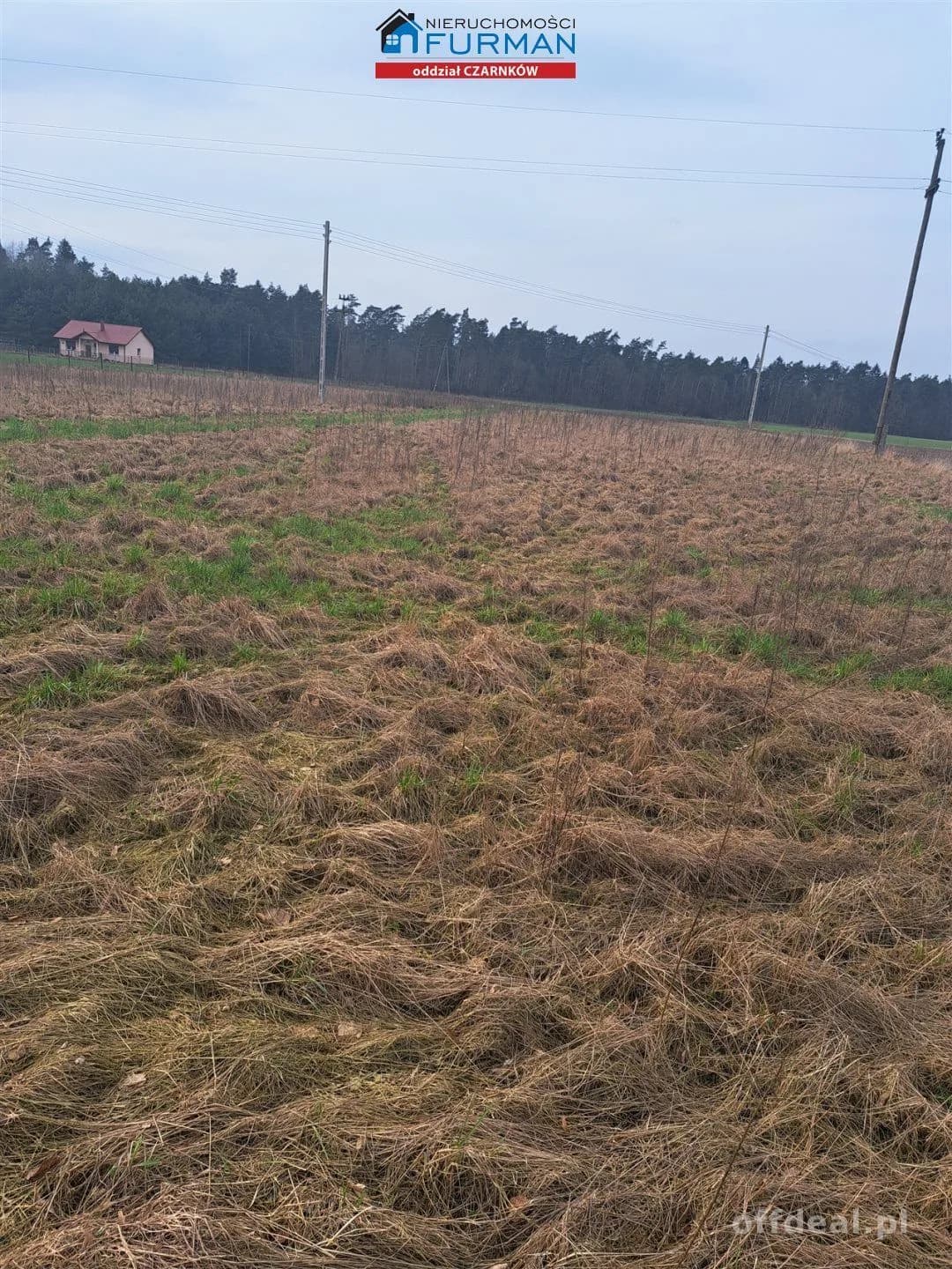 działka na sprzedaż w Kruczu gmina Lubasz