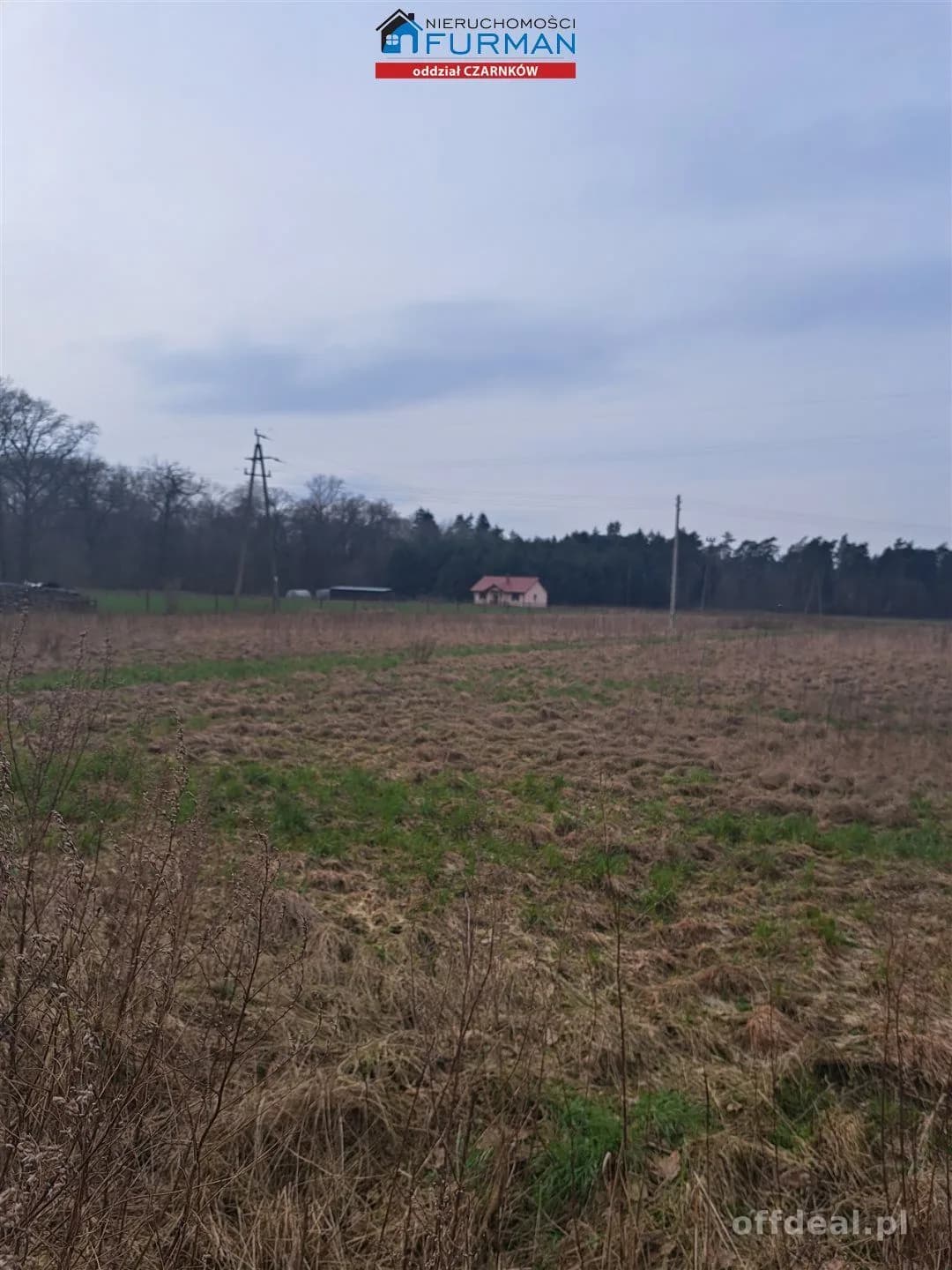 działka na sprzedaż w Kruczu gmina Lubasz