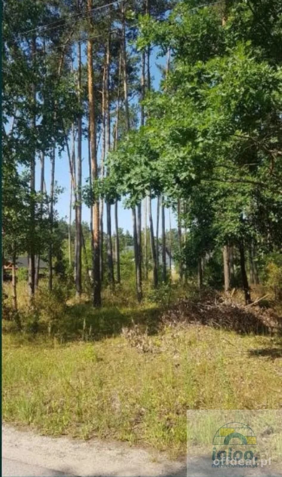 Okazja, działka budowlana 7 km od Kielc