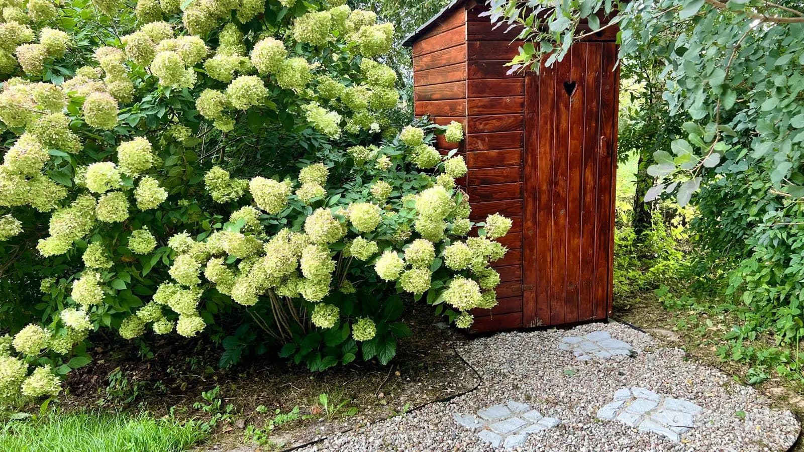 plot for sale in Błotnica | 6,000 m²