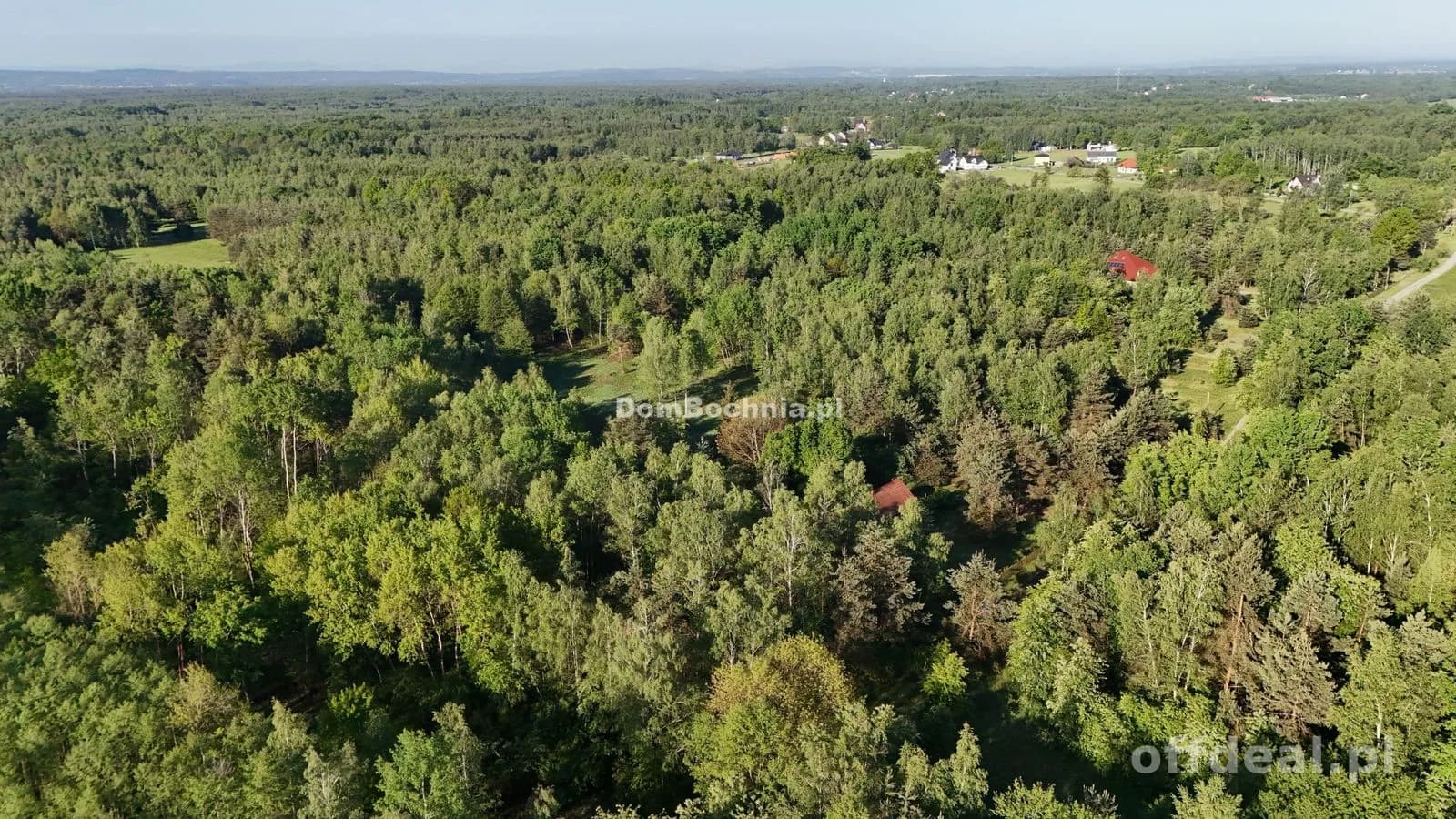 Działka rolna 37ar Dąbrówka koło lasu