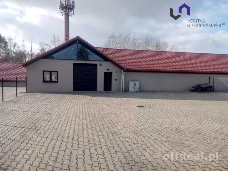 Lokal na wynajem, Katowice