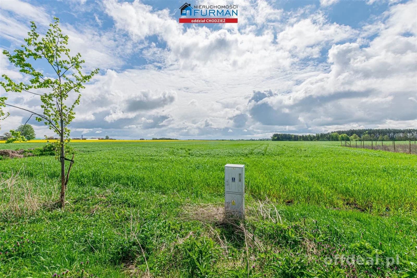 terrain à vendre à Ryczywół, Zawady | 992 m²
