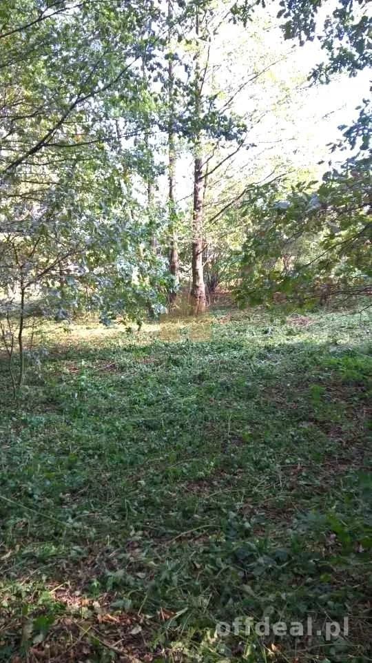 Działka dla konesera przyrody - okolice Wrocławia